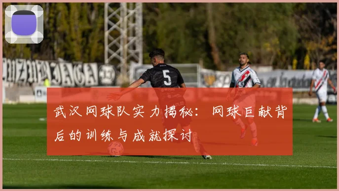 武汉网球队实力揭秘：网球巨献背后的训练与成就探讨