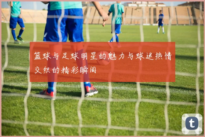 篮球与足球明星的魅力与球迷热情交织的精彩瞬间