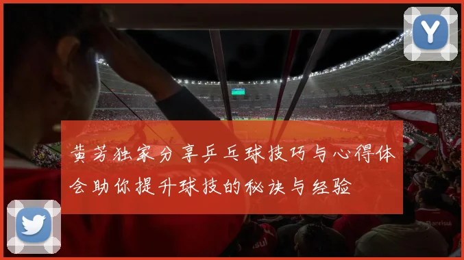 黄芳独家分享乒乓球技巧与心得体会助你提升球技的秘诀与经验