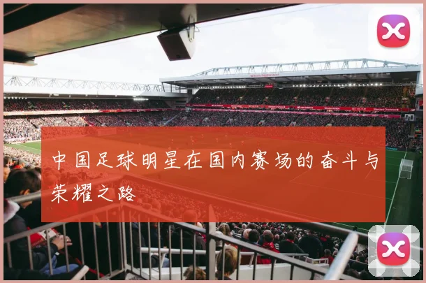 中国足球明星在国内赛场的奋斗与荣耀之路
