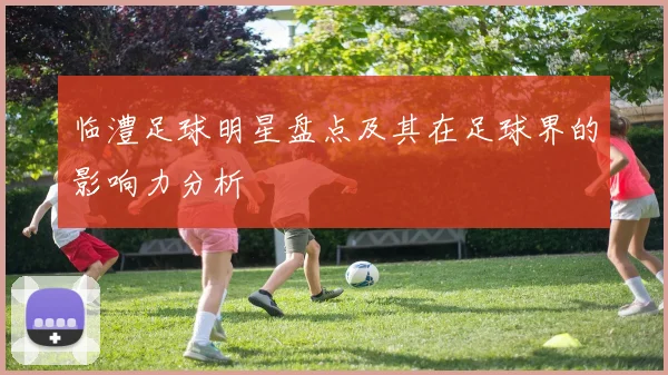 临澧足球明星盘点及其在足球界的影响力分析