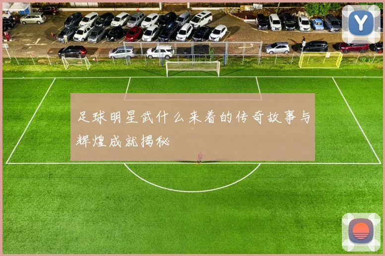 足球明星武什么来着的传奇故事与辉煌成就揭秘