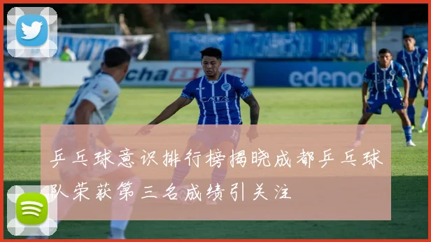 乒乓球意识排行榜揭晓成都乒乓球队荣获第三名成绩引关注