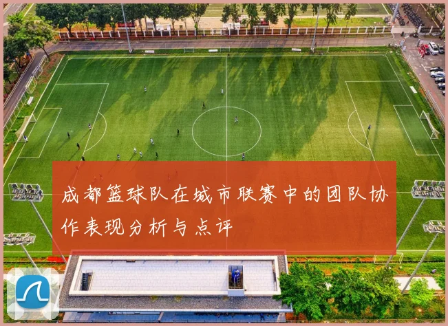 成都篮球队在城市联赛中的团队协作表现分析与点评