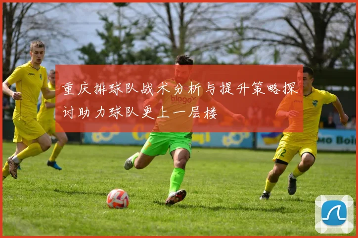 重庆排球队战术分析与提升策略探讨助力球队更上一层楼