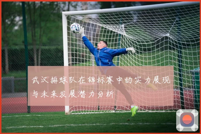 武汉排球队在锦标赛中的实力展现与未来发展潜力分析
