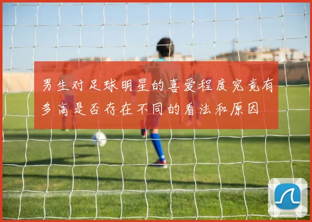 男生对足球明星的喜爱程度究竟有多高是否存在不同的看法和原因
