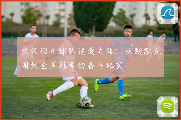 武汉羽毛球队逆袭之路：从默默无闻到全国冠军的奋斗纪实